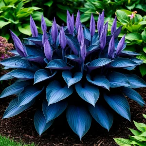 Хоста Сикрет Гров купить по цене от 570р. в интернет-магазине «Посадика» с доставкой почтой в в Холмске и по всей России – [изображение №1].